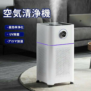 スーパーセール期間中10倍ポイントGET 空気清浄機 加湿器 ペット ダニ対策 空気清浄機 循環気流 脱臭 ウイルス対策 黄砂 PM2.5 花粉対策 タバコ ペット ホコリ ニオイ 脱臭 PM2.5 菌 ウイルス 空