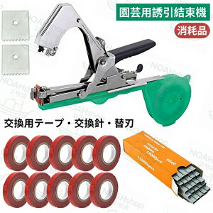 |p@ y e[v20ty蓮@z|p U@ U  e[vi[ ؗU _ƃe[vc[ @ A@ _ƃe[vc[ K[f }ŒH nhw