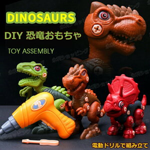 DIY   3 dh ܂ H񂲂 mߋ tBMA eBmTEX av[g q  lW gݗ j̎q ̎q a v[g w 