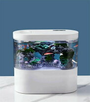 楽天市場】スーパーセール（水槽・アクアリウム｜熱帯魚・アクアリウム 