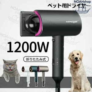 2025Vi̔ 5Nۏ؃ybghC[  L ybgwA[hC[ ybgpi u[ @ 1200w 3iK\ M x\ u[ ᑛ 啗 ܂ ƒp C