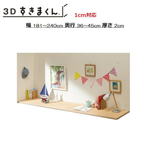 3D܂ pV 3D-V-45`240cm/s26`45cm//2cm 14FΉy󒍐Yiz