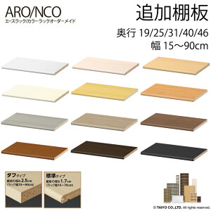 【追加棚板】エースラック カラーラックオーダーメイド 奥行19/25/31/40/46cm 幅15〜90cm 大洋 エースラック カラーラック オーダーラック 国産 日本製 本棚 書棚