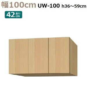 Wu Materia-3 TM D42 UW100-H36`59 W1000×D420×H360`590mm@I1E1