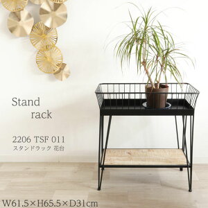 yv^[Eԑz X^hbN 2206 TSF 011 W615×H655×D310mm y픨z t[X^h   CeA I I  O[ ACA 킢  O[u v