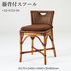 �ىƋ� �w�t�X�c�[���iAB�j 02-0722-09 ���^�� �J�U�} W370×D400×H660×SH460mm
