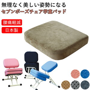 Zu|[Y`FAwpbh SPC-GP W405×D350×H64mm ylZCREz wK֎q p p\R`FA ɂ ɑ΍ ֎q fXN[N `FA pǂȂ Ɍy p 