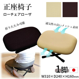 y1rz֎q [`FA[U ̂т\h @ @v    ؓ    ylZCREz Y {