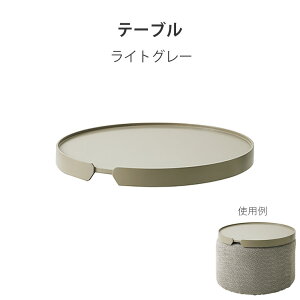 yH-Sze[u(LS-407-OTp) LK-T60 TCYFW600×D600×H55mm rO  TChe[u  yHƁz