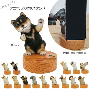 yjZ[zyo׏izyzyg΁zX}zX^h Vo Č BE-QY-218GBK benny's xj[Y Aj} Vo X}zX^h wj xj[Y X}[gtHu 킢 