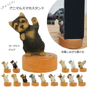 y݌Ɍzyo׏izyzyg΁zX}zX^h [NV[eA BE-QY-218I benny's xj[Y Aj} [NV[eA X}zX^h wj xj[Y X}[gtH