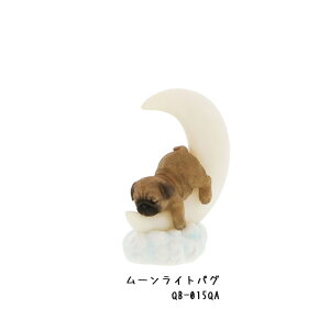 yo׏iz[CgpO CgX^h   Ck Aj}IuWF Aj} 킢 u v[g Mtg 蕨  Q Cg  [ benny's xj[Y yg΁z