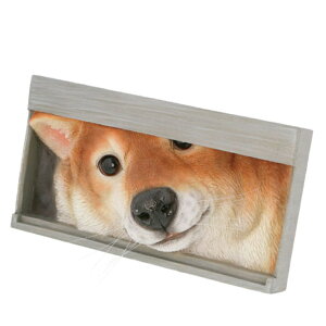 【水曜セール】【即出荷商品】お手紙まつわん 年賀状 犬 イヌ ドッグ アニマルオブジェ アニマル かわいい 置物 プレゼント ギフト 贈り物 動物 benny's 【紅石】ベニーズ キャット Hygge ヒュ