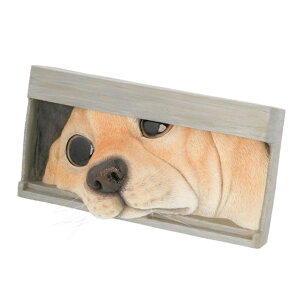 yjZ[zyo׏iz莆܂ N  Ck hbO Aj}IuWF Aj} 킢 u v[g Mtg 蕨  benny's yg΁z xj[Y Lbg Hygge q