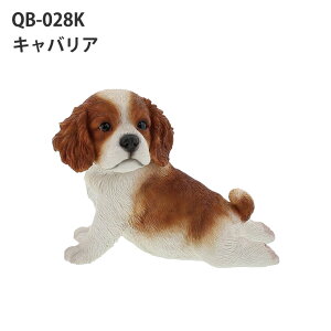 yo׏izxj[Y Xgb`V[Y QB-028 benny's xj[Y Aj}  Ck hbO pO LoA ViEU[ Vo Č t`u g xj[Y 킢 u IuWF 