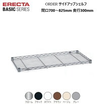 楽天市場】ホームエレクター ポスト 70cmの通販