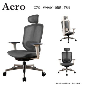 fXN`FA AERO GA-WH-GY ]A[bV`FA It p\R`FA @\ ygĕiz̓A~r^Cṽy[WłB