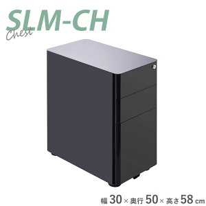 X`FXg SLM-CH 30 `FXgS fXN`FXg  LX^[t X ȃXy[X zCg ubN fXN t }Olbgt y}gYz