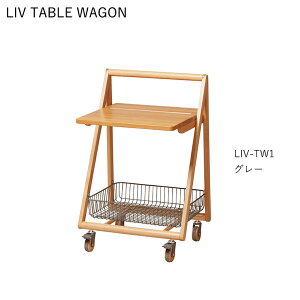 e[uS LIV-TW1 p\RfXN rOfXN [t LX^[t \S VR rOe[u TChe[u xbhTCh PCfXN Ƒ yMASHz  ֗ 