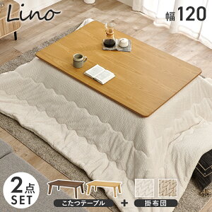 yב҂F2025.12z+|zc 2_Zbg y120×80cmz ymCF120|JzR^c e[u ` Vv   tbgq[^[ zcZbg l炵 