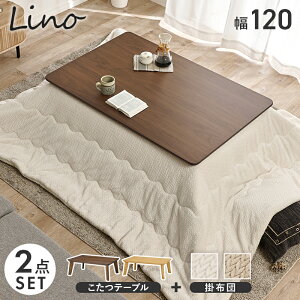 yב҂F2025.12z+|zc 2_Zbg y120×80cmz ymCF120|JzR^c e[u ` Vv   tbgq[^[ zcZbg l炵 