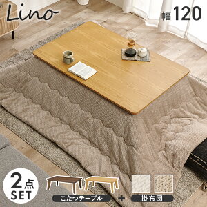 yב҂F2025.12z+|zc 2_Zbg y120×80cmz ymCF120|JzR^c e[u ` Vv   tbgq[^[ zcZbg l炵 