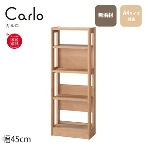 bN CARLO J 45 Y C {I ^ X  xc؍H i I[vbN VFt ubNVFt q  rO [ I