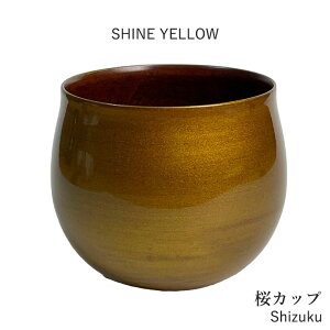 yJbv Shizukuz  Rbv  rAOX R[q[Jbv  }O aH  H Mtg j v[g yΐ쎽󓰁z  R[q[ g  