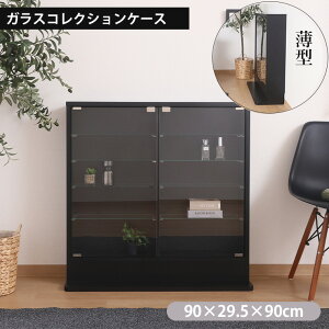 RNVbN BK 57081 W90×D29.5×H90cm tBMA[ P[X [ RNV fBXvCP[X   I [  l KXP[X [I  ۊ Ж؂