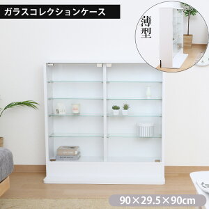 RNVbN WH 57082 W90×D29.5×H90cm tBMA[ P[X [ RNV fBXvCP[X   I [  l KXP[X [I  ۊ Ж؂