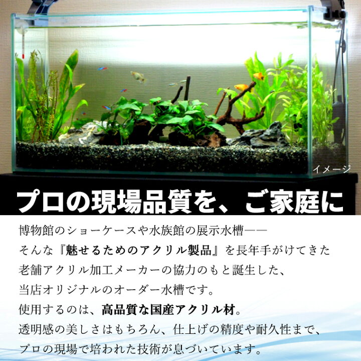 楽天市場】オーダーできるアクリル水槽 1cm単位でオーダー可能 軽くて 