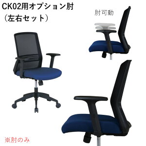 CK02�p�I�v�V�����I(���E�Z�b�g) (CK02-AR)�T�C�Y�FW90×D240×H310mm