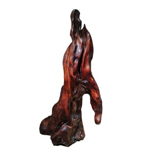 yHށzyvzv̒u _ { v y v u RDȂ|pi ̊ X RNV