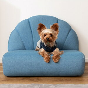 ybg\t@ Ckp 킢 \t@ i  Ck  ~j\t@ ֎q  ybgp [\t@ ybg  ֎q xbh Ckp\t@ p j