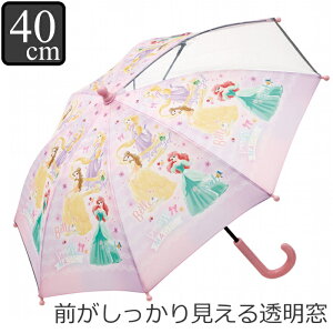 P  40cm q LN^[ fBYj[ vZX i WX~ P Vf AG x qǂP qp t  蓮J P SJo[t ODt J 