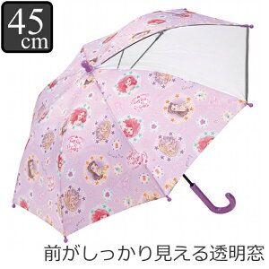 P  45cm q LN^[ fBYj[ vZX i WX~ P Vf AG x qǂP qp t  蓮J P SJo[t ODt J 