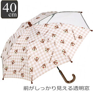 P  40cm q LN^[ fBYj[ `bvƃf[ i `bv f[ qǂP qp t  蓮J P SJo[t ODt J t  킢