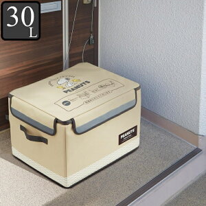 z{bNX uz {bNX ܂ H S 30L LN^[ s[ibc Xk[s[i [ ˔ t@Xi[ RpNg  s ו zB z 󂯎 ֗ zBOX [