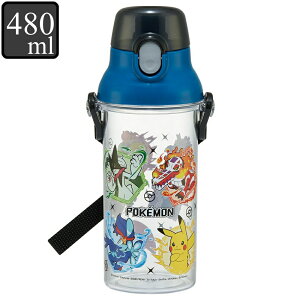   NA vX`bN 480ml H@Ή LN^[ |PbgX^[ SV i |P sJ`E XJ[bg oCIbg ^b` qp y y q H@OK 