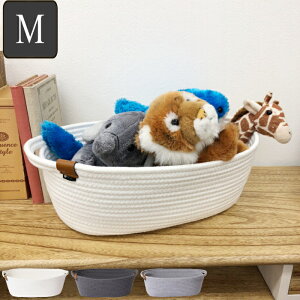 [vgC [ oXPbg gC MTCY I[o^ [vXg[W i oXPbg  JS k P[X [ [{bNX  Rbg ~` I[o ی^  RX