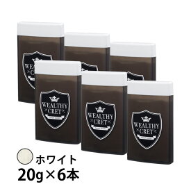 【★500円OFFクーポン対象】【送料無料】 ウェルシークレット ≪20g×6個≫ 増毛パウダー 薄毛 薄毛隠し 白髪 白髪隠し ハゲ隠し はげ隠し 粉 パウダー ふりかけ かける ボリューム 繊維 隠す 対策 男性用 女性用 WEALTHY CRET ウェルシー クレット