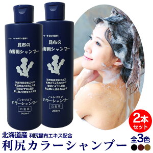 ヘアカラー シャンプー 白髪の人気商品 通販 価格比較 価格 Com