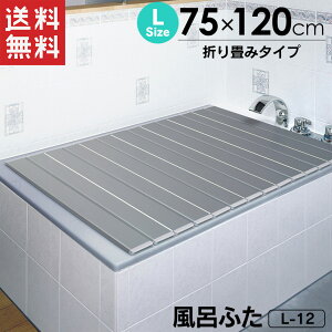 y|Cg2{z{ AgCICӂ L12 L-12 y75×120cmpz 75cm ܂肽݃^Cv ܂ Vo[ CIŋ R hJr CI AgCI Cӂ Ct^ 