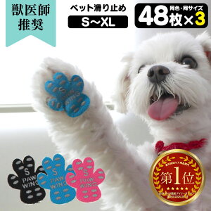 yzybgpC V[ PAW WING PAWWINGyFTCY3gzpEECO pEEBO ~ ppbh p ybg t[O ΍ ی ]|h~  C  p C