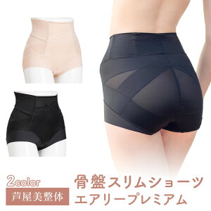 y|Cg10{z ՃXV[cGA[v~A GA[ v~A X ՃX ␳  pc  V[c  ␳ ʋC Y ՃK[h 