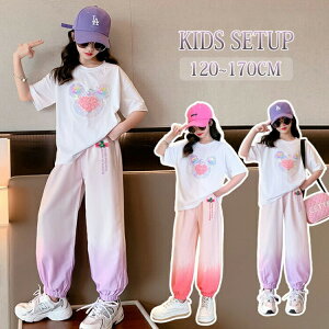 y撅60F200~OffN[|zq W[W ZbgAbv X|[cEFA ㉺Zbg LbY ̎q gbvX {gX  Opc Of[V zF g[jOEFA ^