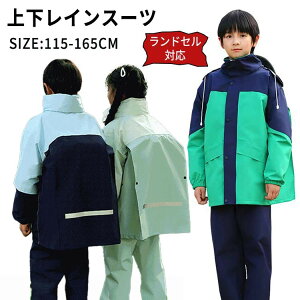 yҏ300~OffN[|zCX[c WjA qp CEFA hZΉ H w w ㉺Zbg CR[g jp ˃e[v J ~J΍ ʊw LbY 