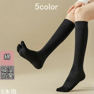 \bNX 5{w VFCv\bNX nC\bNX C fB[X Y t  H~  g ₦Ƃ d˗ hL X|[c n {[_[  jp p Jt