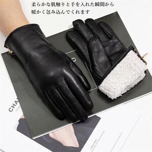 v fB[X U[O[u {v U[ v X}zΉ ^b`plΉ g O[u 킢 U[ p ޏ X}z Mtg ʋ  fB[X