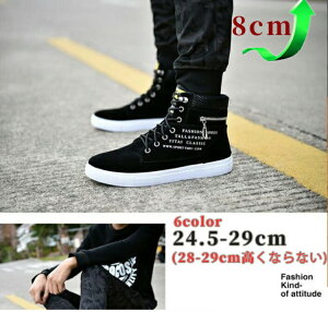 5cm up wȂC V  Xj[J[C Xj[J[ YC V[NbgV[Y